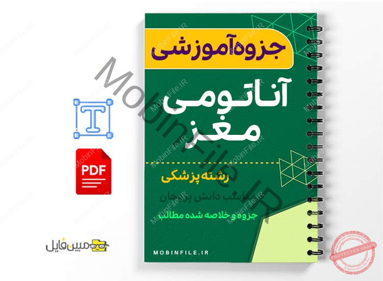 جزوه آناتومی مغز 1 خلاصه جزوه آناتومی مغز